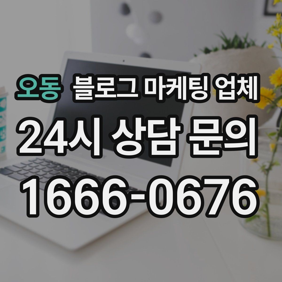 오동 블로그 마케팅 업체 견적이 달라지는 이유