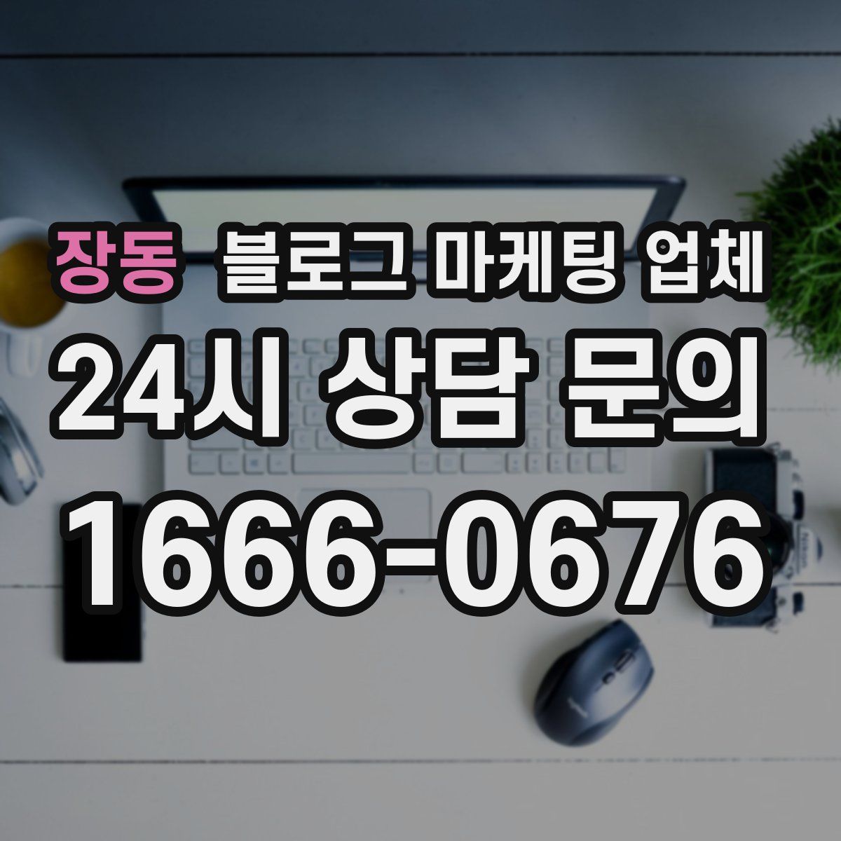 장동 블로그 마케팅 업체