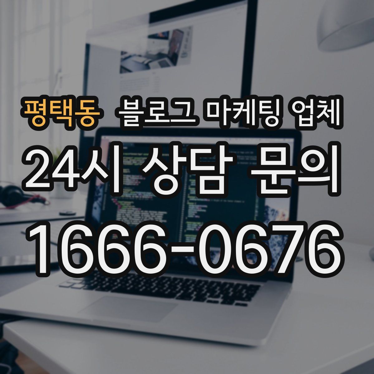 평택동 블로그 마케팅 업체