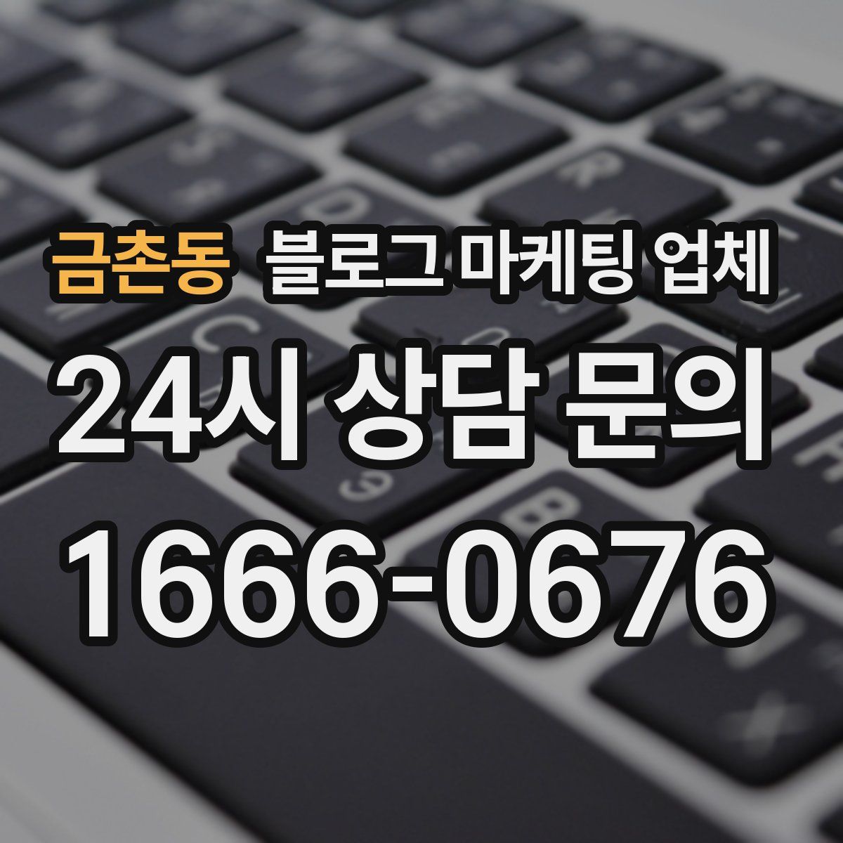 금촌동 블로그 마케팅 업체