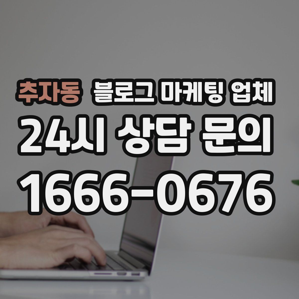 추자동 블로그 마케팅 업체