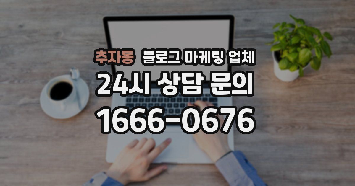 추자동 블로그 마케팅 업체