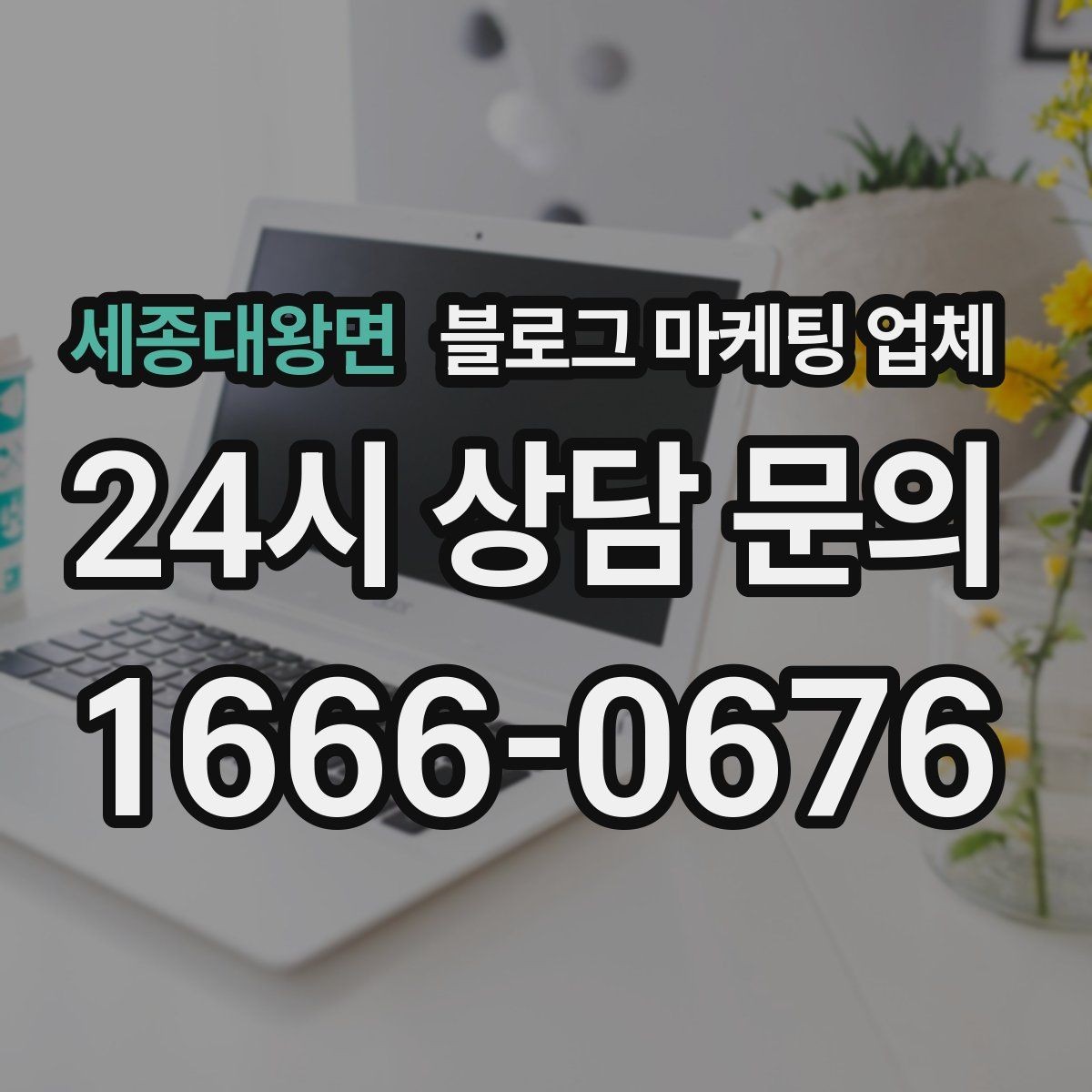 세종대왕면 블로그 마케팅 업체 비교할 때 놓치기 쉬운 점