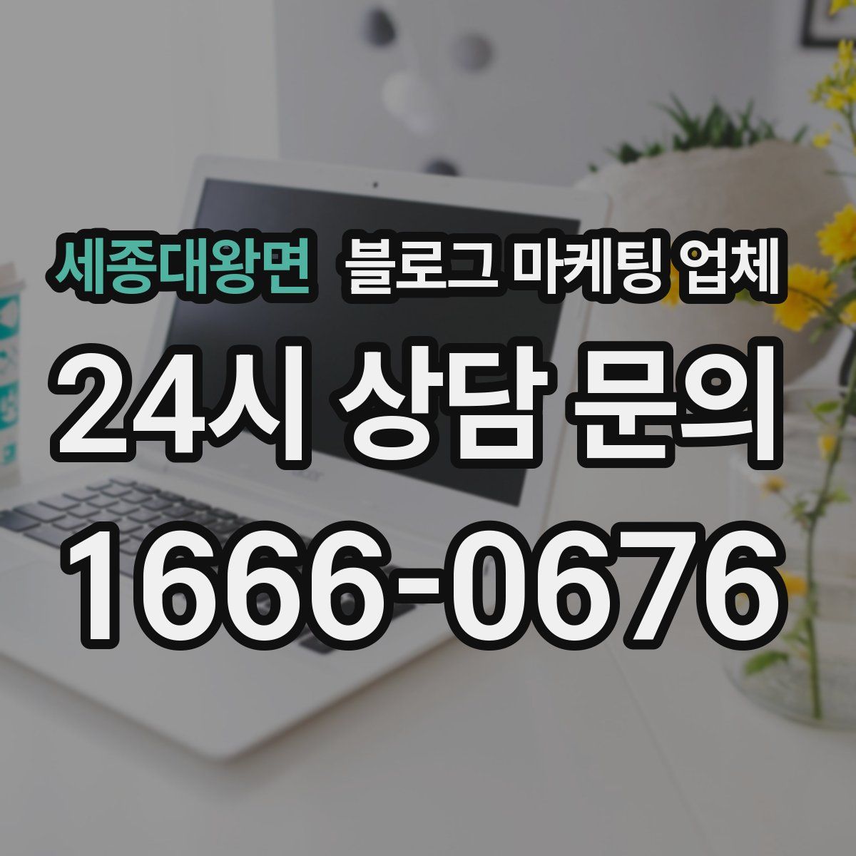 세종대왕면 블로그 마케팅 업체