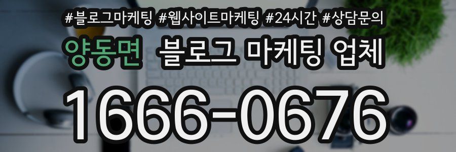 양동면 블로그 마케팅 업체