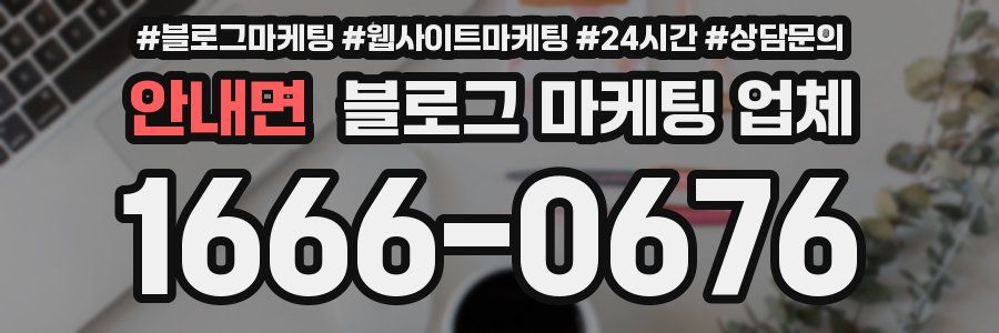 안내면 블로그 마케팅 업체