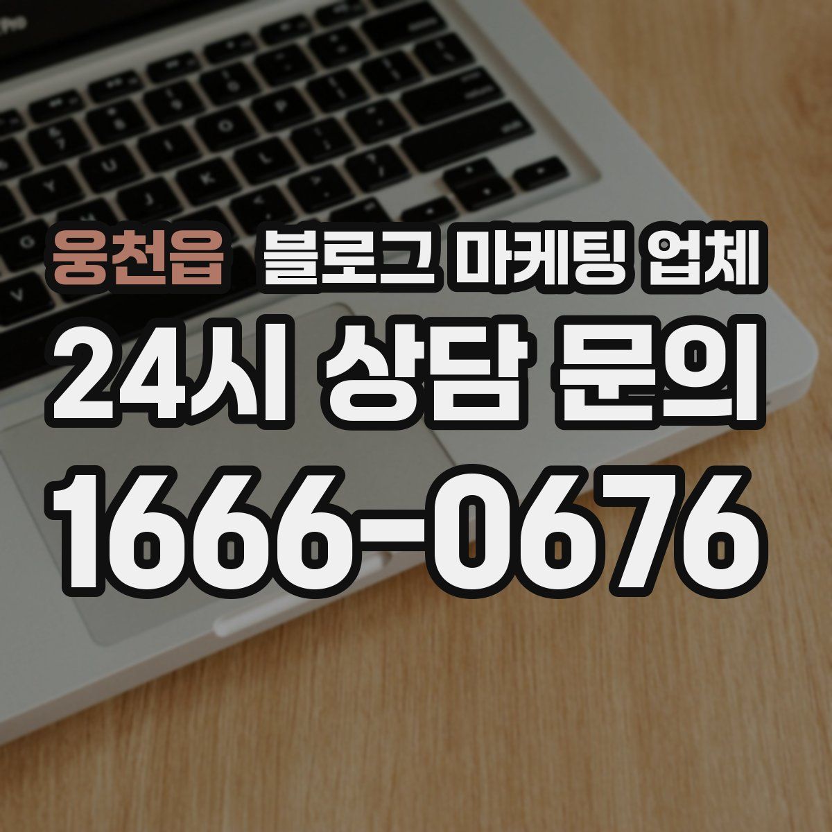 웅천읍 블로그 마케팅 업체