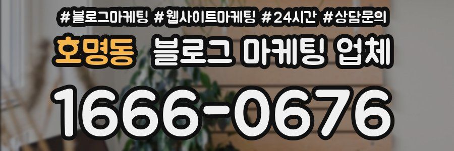호명동 블로그 마케팅 업체