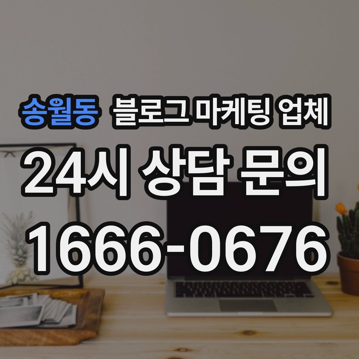 송월동 블로그 마케팅 업체 서비스 구성은 어떻게 확인할까