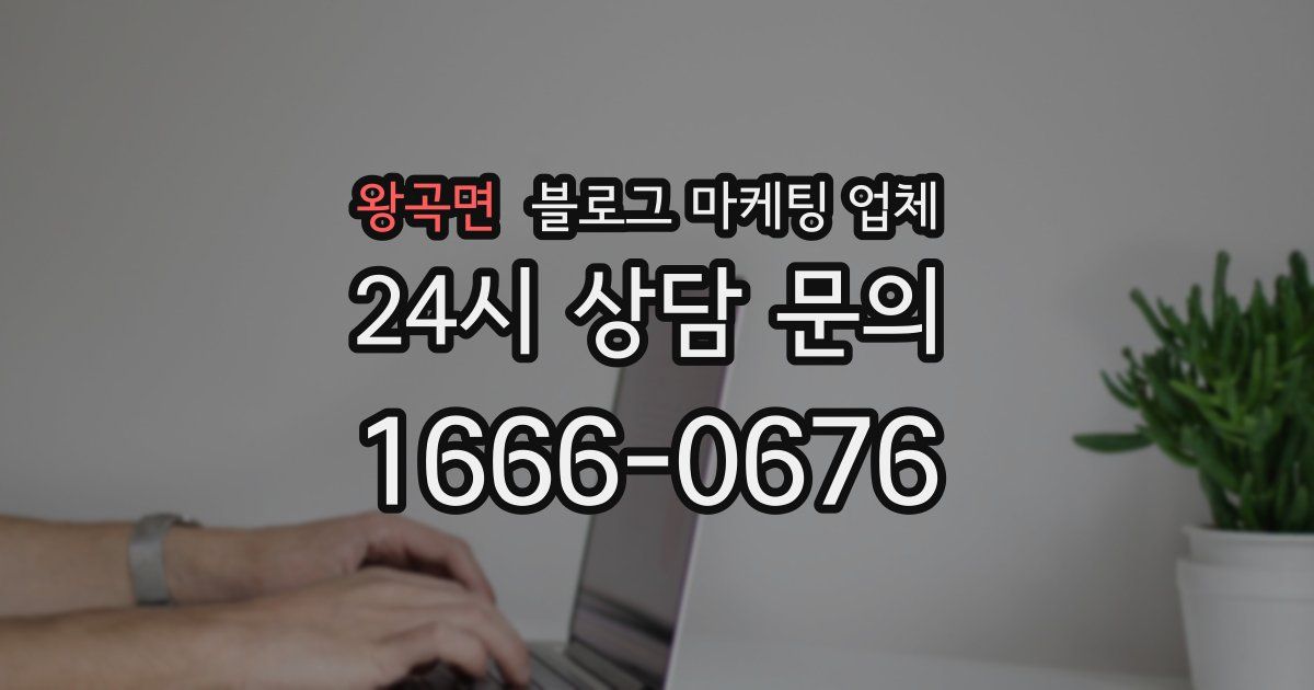 왕곡면 블로그 마케팅 업체