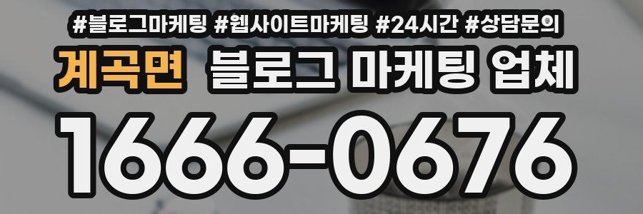 계곡면 블로그 마케팅 업체