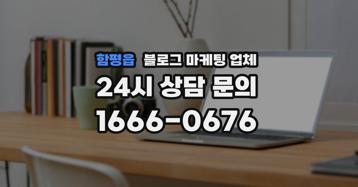 함평읍 블로그 마케팅 업체