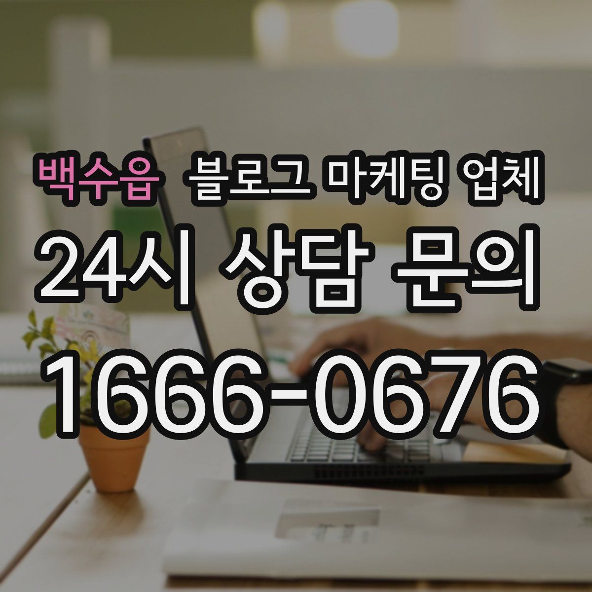 백수읍 블로그 마케팅 업체