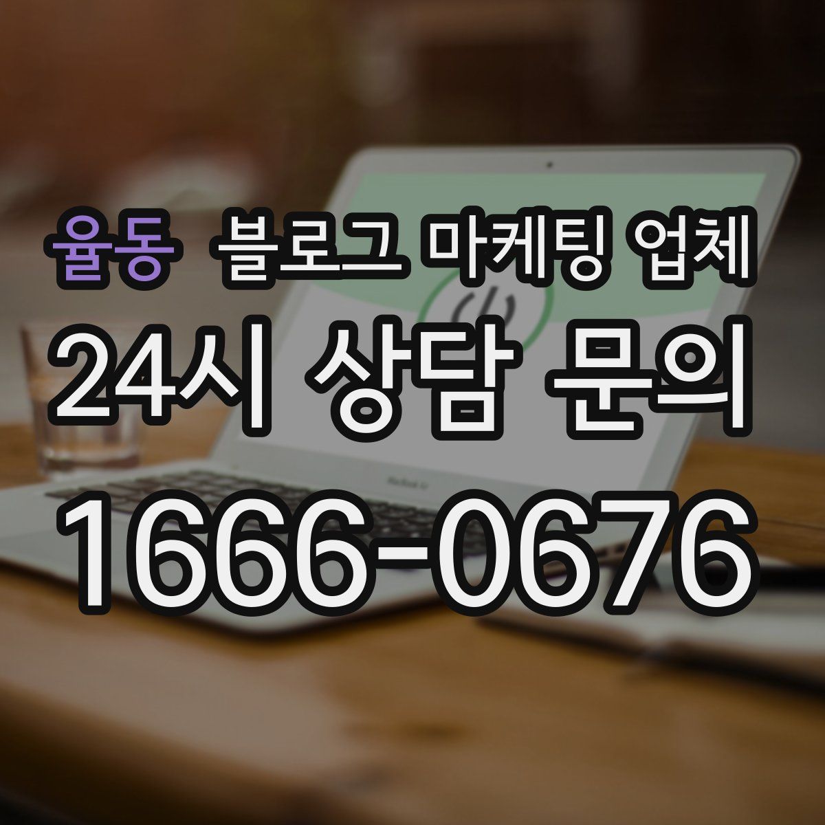 율동 블로그 마케팅 업체