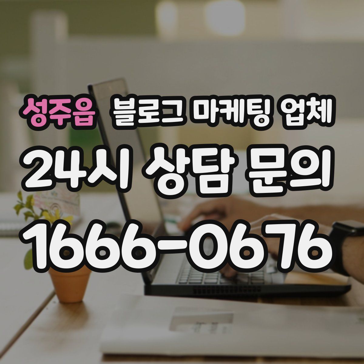 성주읍 블로그 마케팅 업체