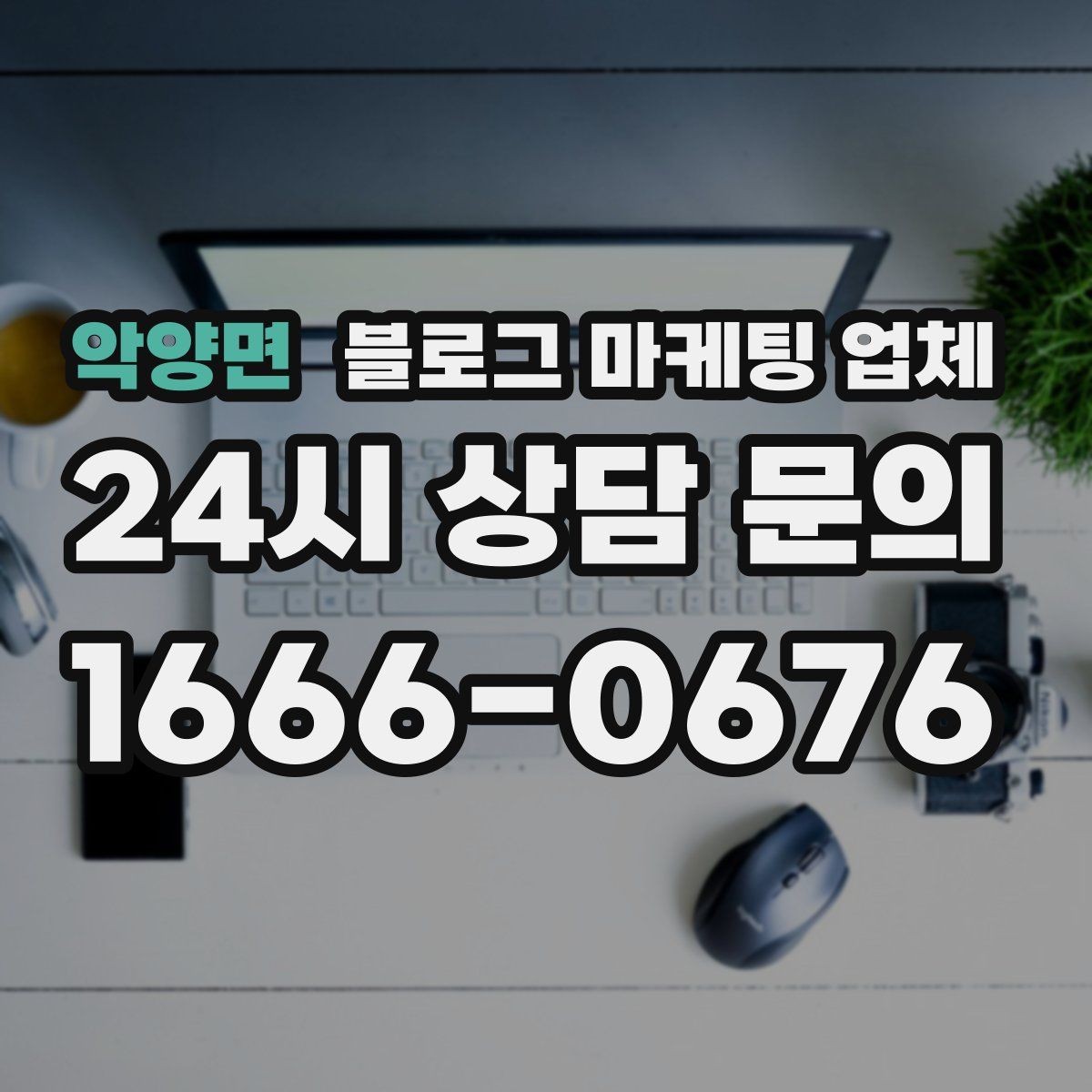 악양면 블로그 마케팅 업체 운영 방식, 이렇게 확인해 보세요