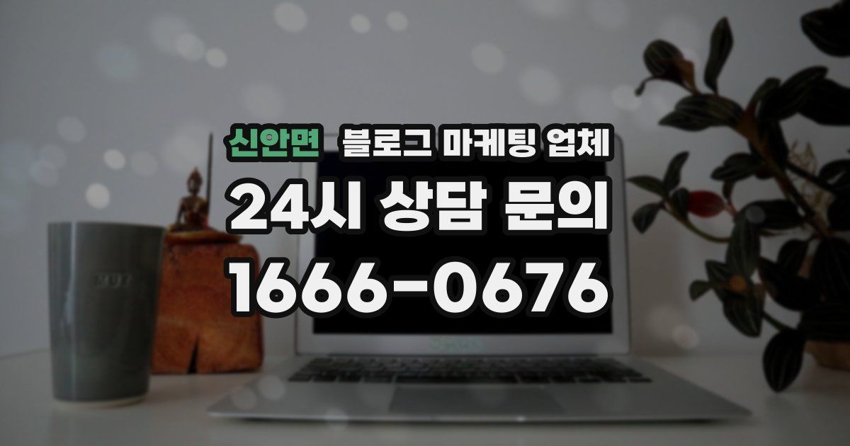 신안면 블로그 마케팅 업체