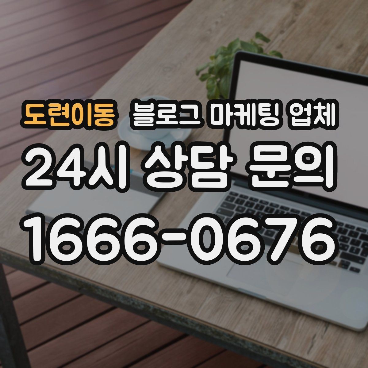 도련이동 블로그 마케팅 업체 운영 사례로 보는 선택 포인트