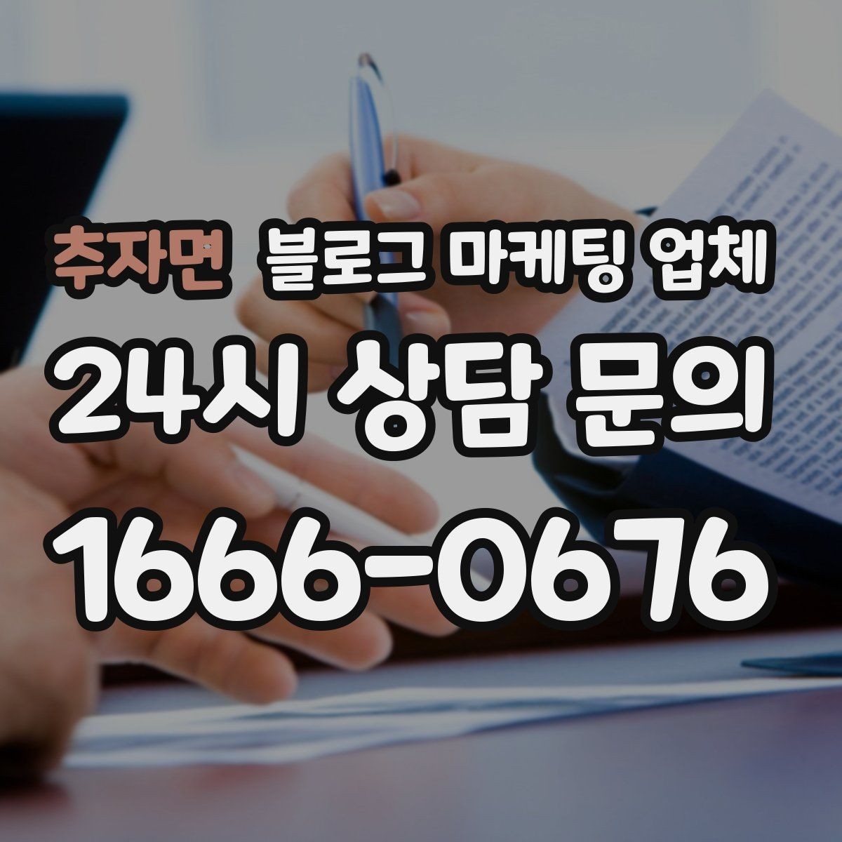 추자면 블로그 마케팅 업체 선택 시 지역 특성을 반영하는 법