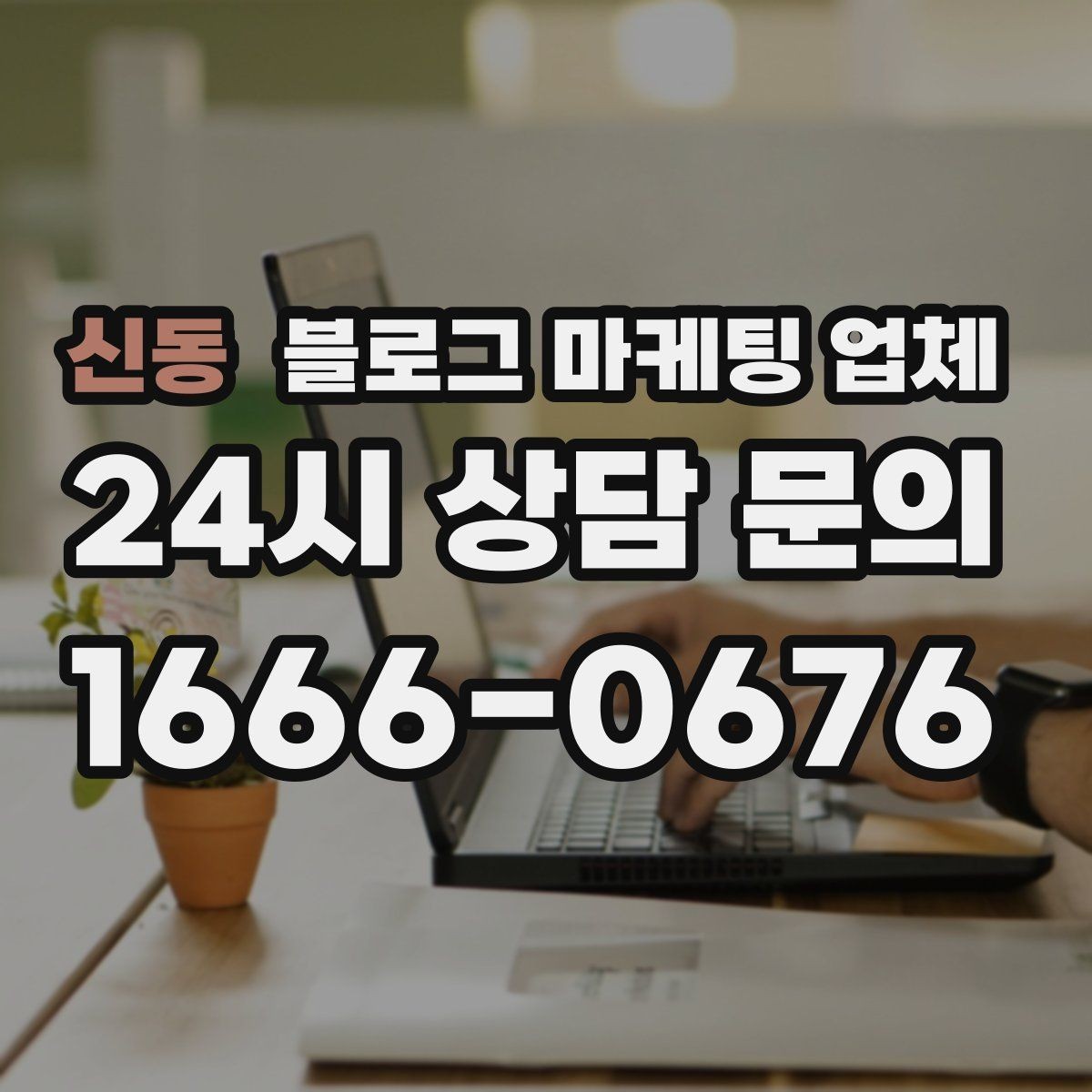신동 블로그 마케팅 업체 선택 시 지역 특성을 반영하는 법