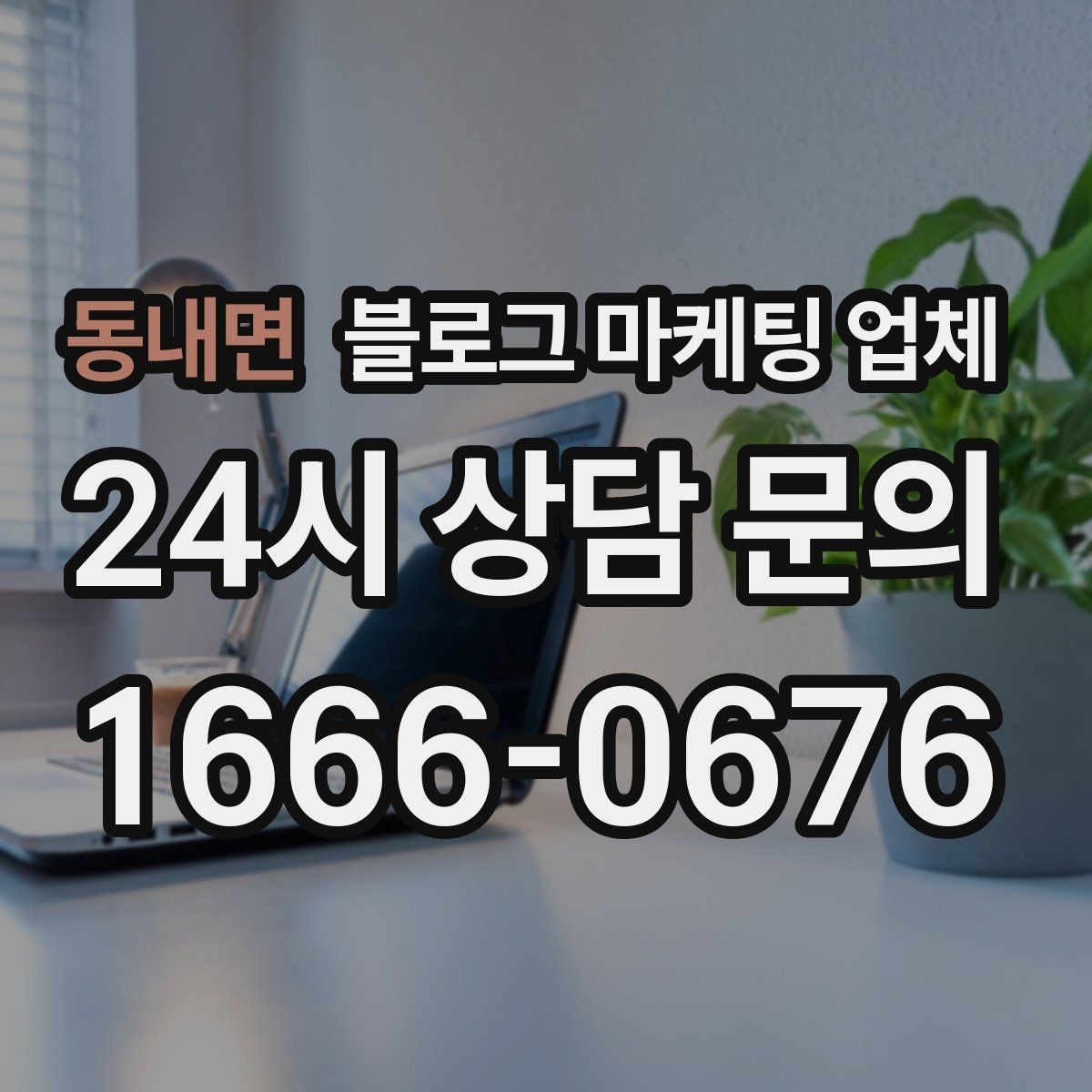 동내면 블로그 마케팅 업체 선택 후 만족도를 높이는 팁