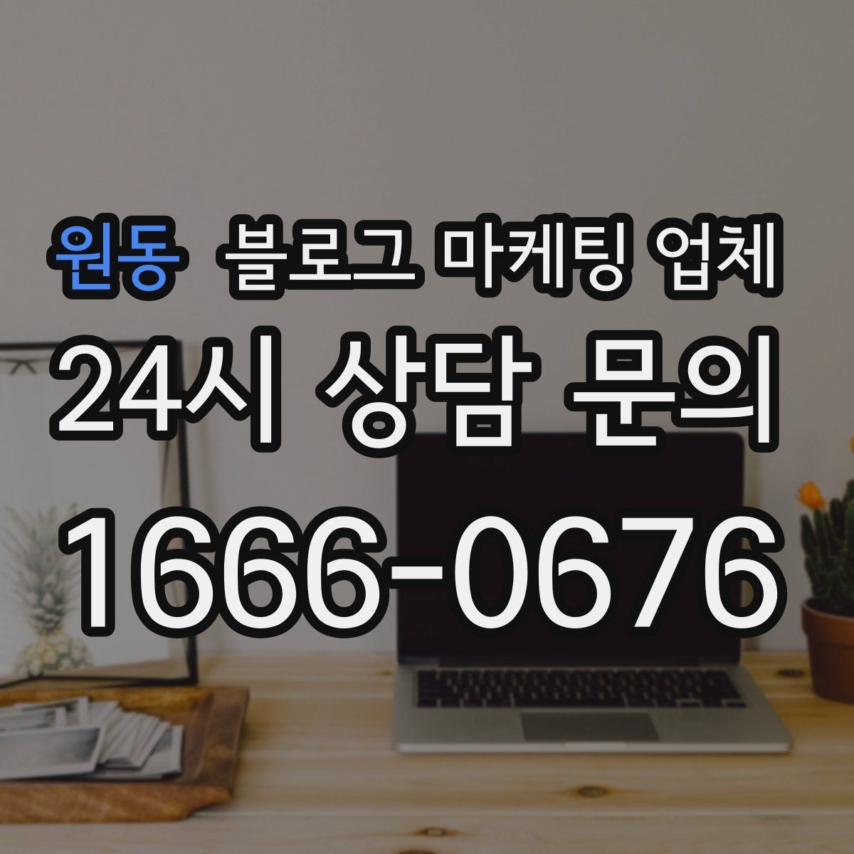 원동 블로그 마케팅 업체 선정 시 실제 운영 사례가 주는 힌트