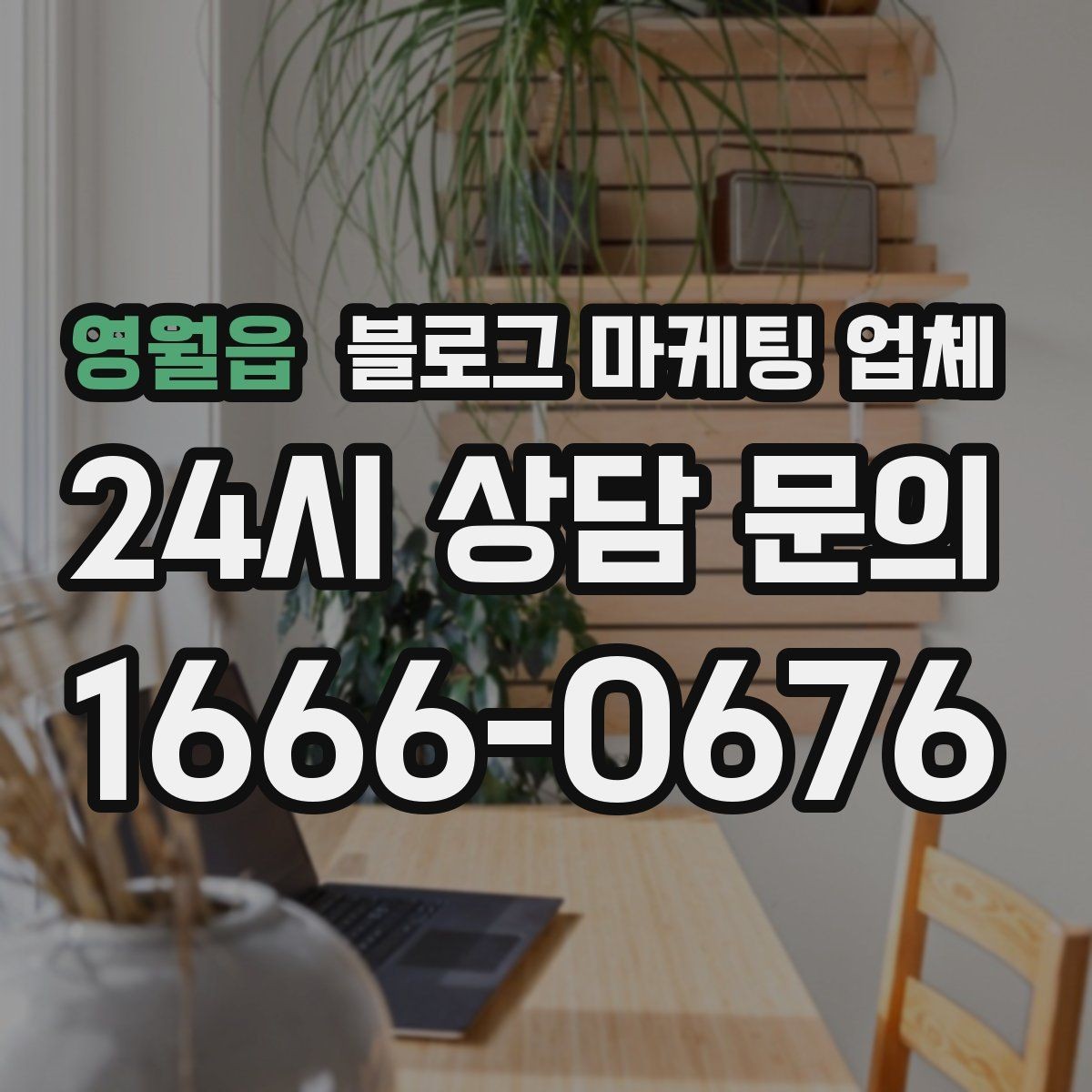 영월읍 블로그 마케팅 업체 포트폴리오에서 확인할 내용