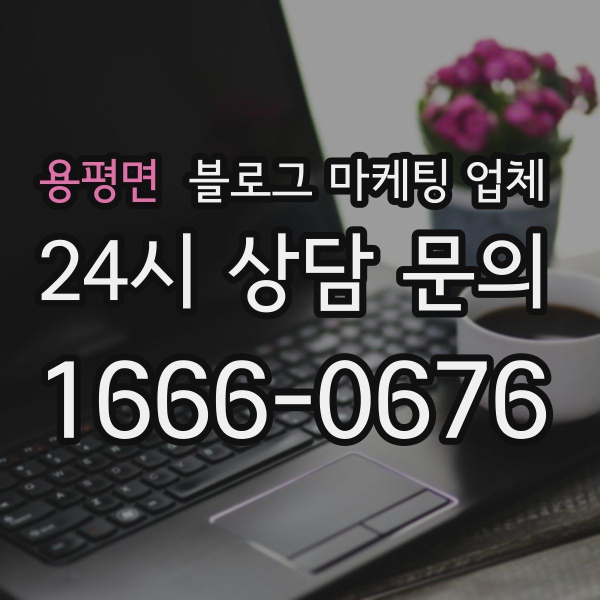용평면 블로그 마케팅 업체
