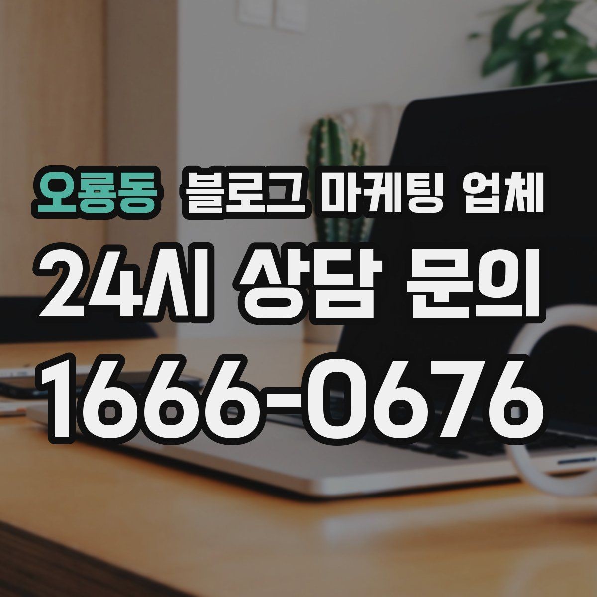 오룡동 블로그 마케팅 업체 비교로 확인하는 적합한 선택 기준