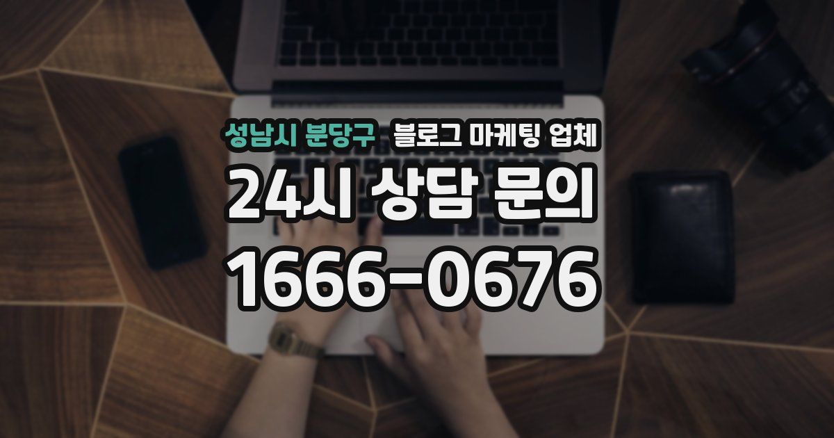 성남시 분당구 블로그 마케팅 업체
