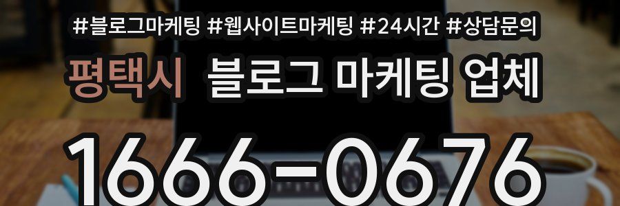 평택시 블로그 마케팅 업체