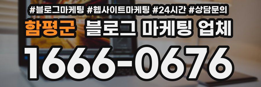 함평군 블로그 마케팅 업체