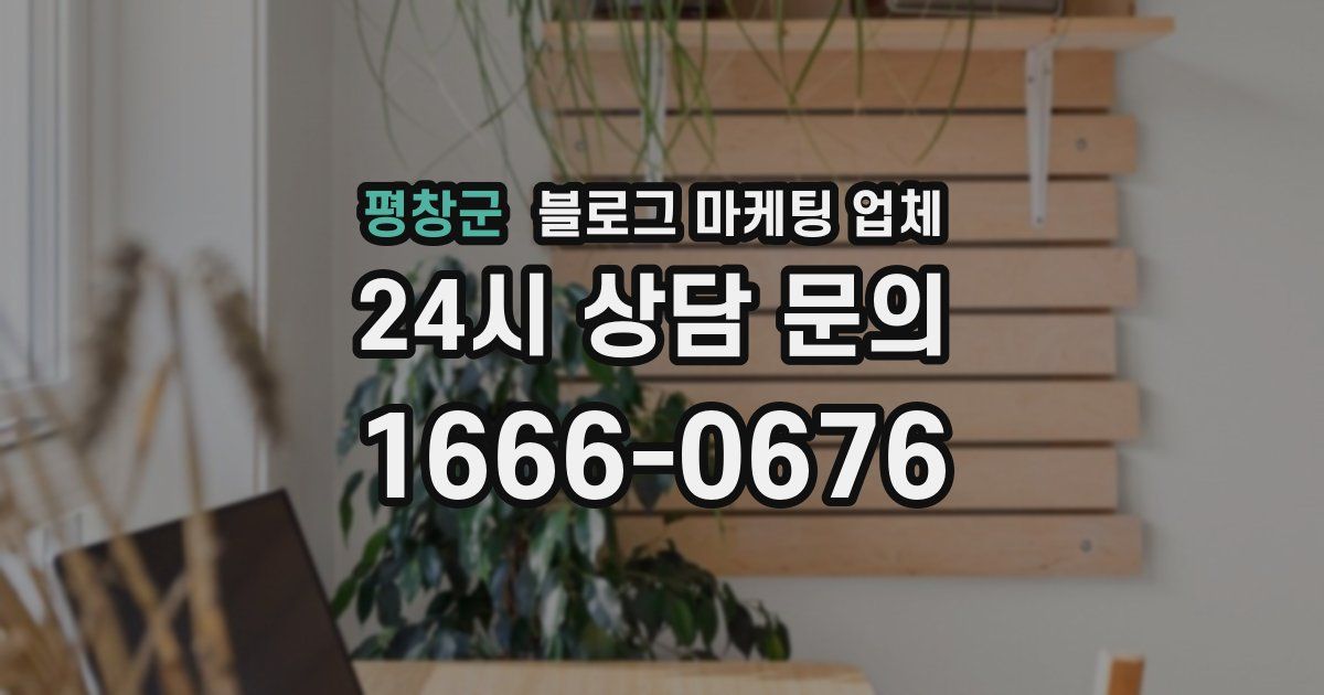 평창군 블로그 마케팅 업체