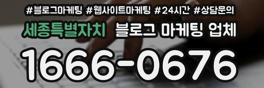 세종특별자치 블로그 마케팅 업체