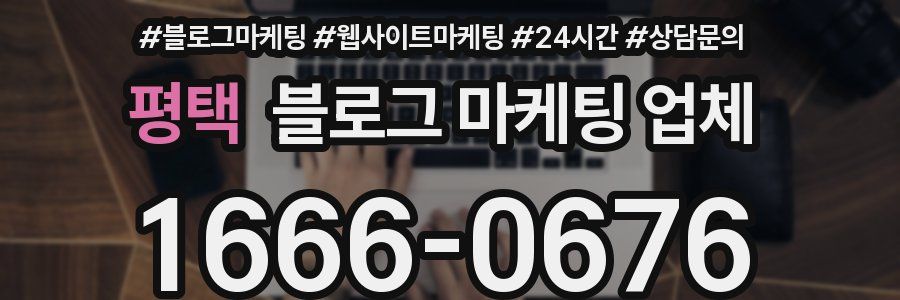 평택 블로그 마케팅 업체