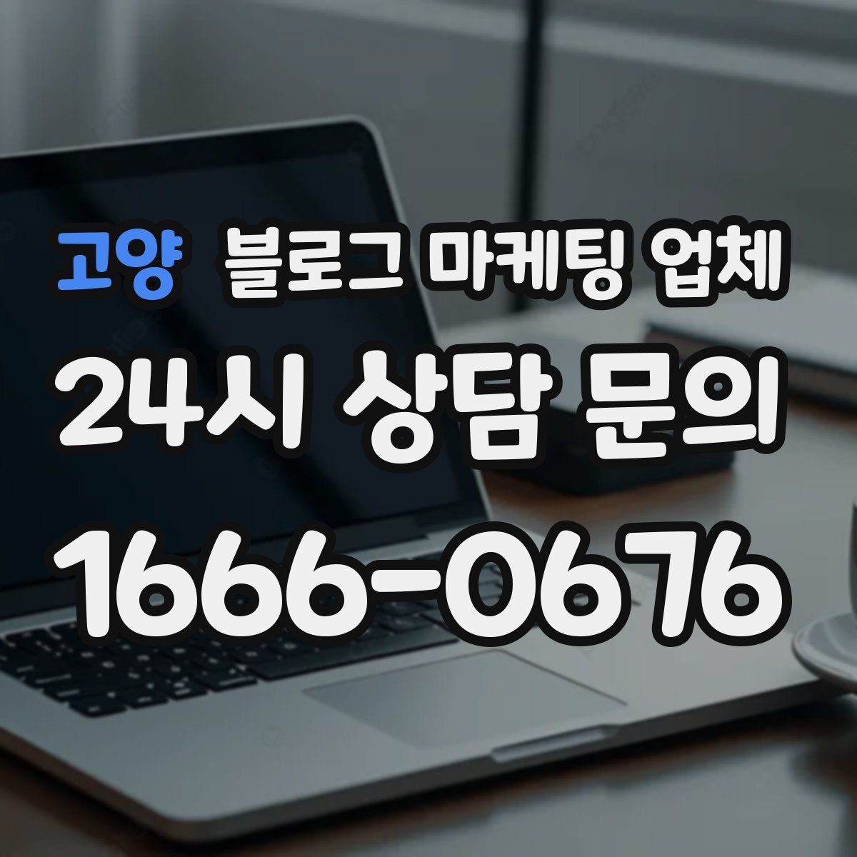고양 블로그 마케팅 업체