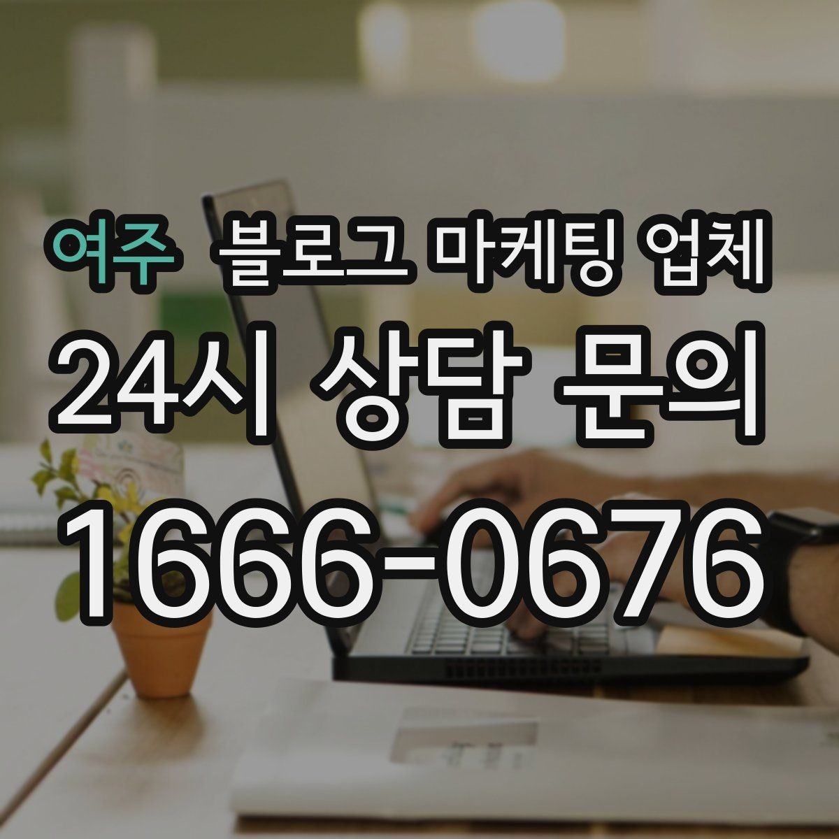 여주 블로그 마케팅 업체 사례 분석으로 보는 선택 기준