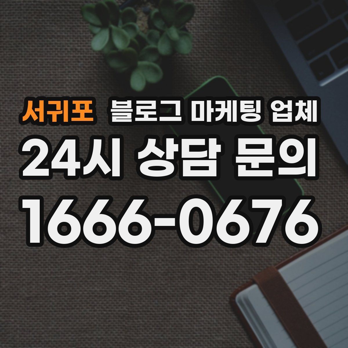 서귀포 블로그 마케팅 업체 포트폴리오에서 확인할 내용