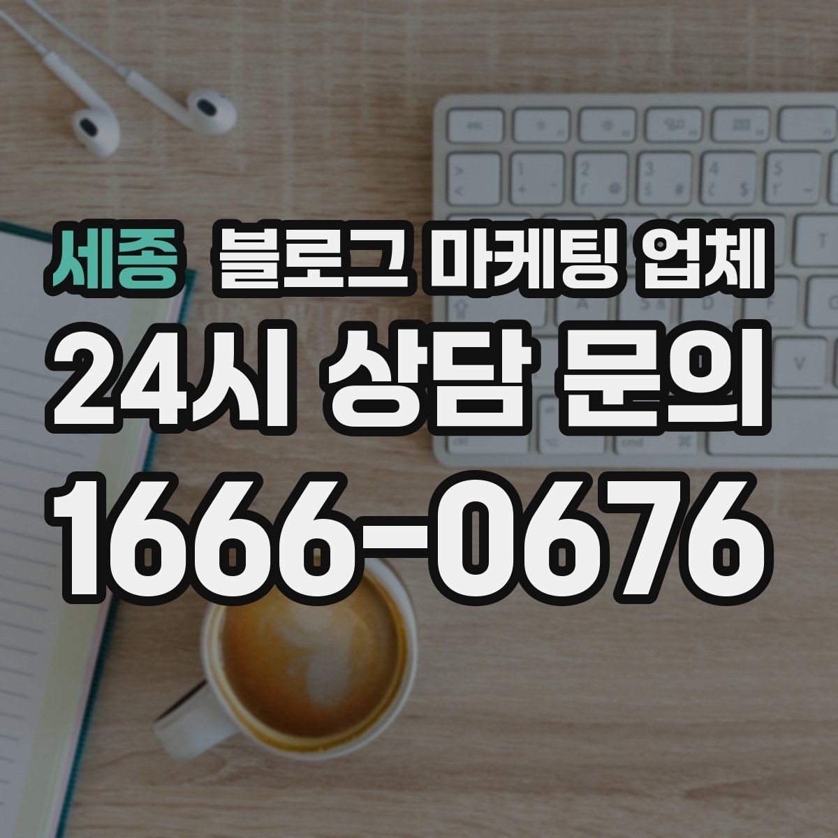 세종 블로그 마케팅 업체 비교 시 포트폴리오 보는 법
