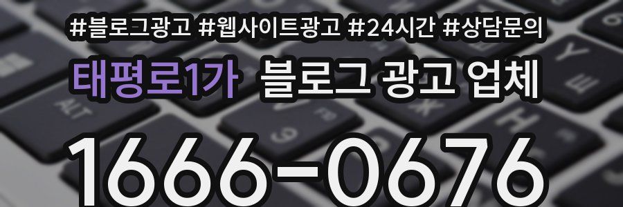 태평로1가 블로그 광고 업체