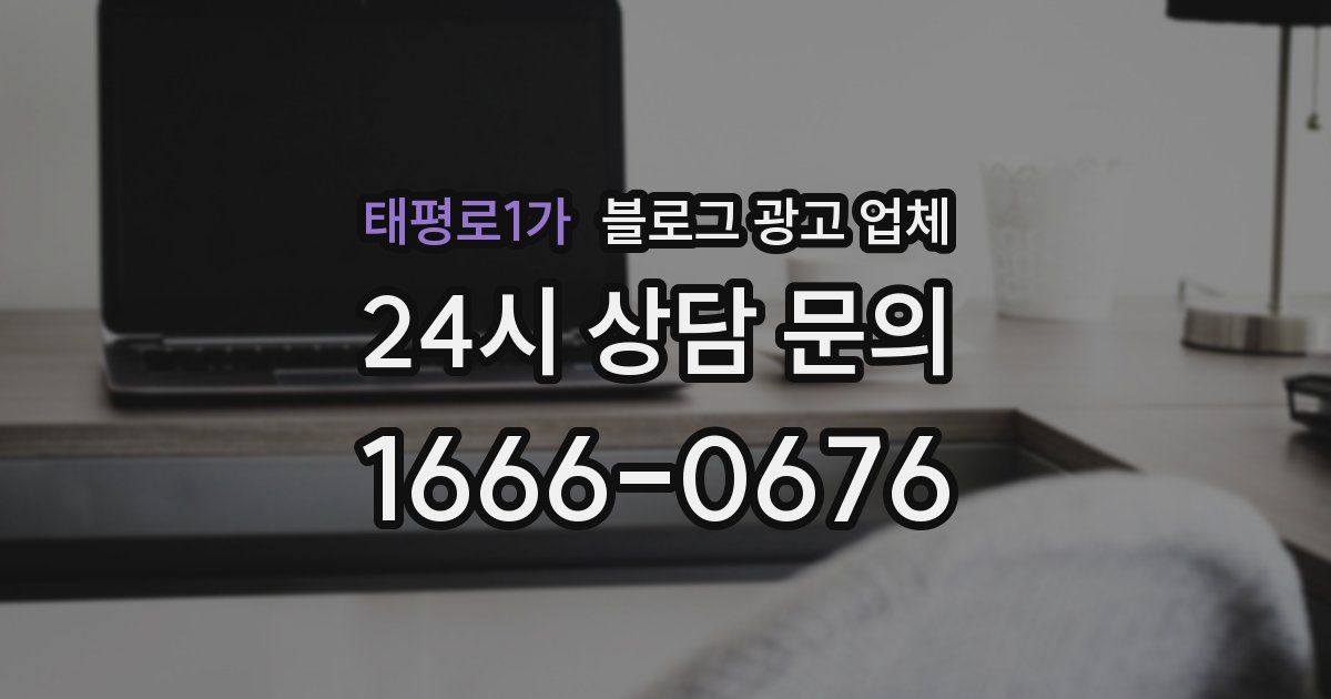 태평로1가 블로그 광고 업체