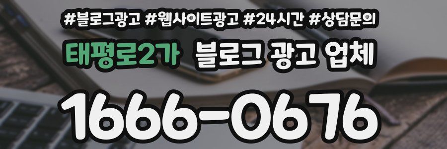 태평로2가 블로그 광고 업체
