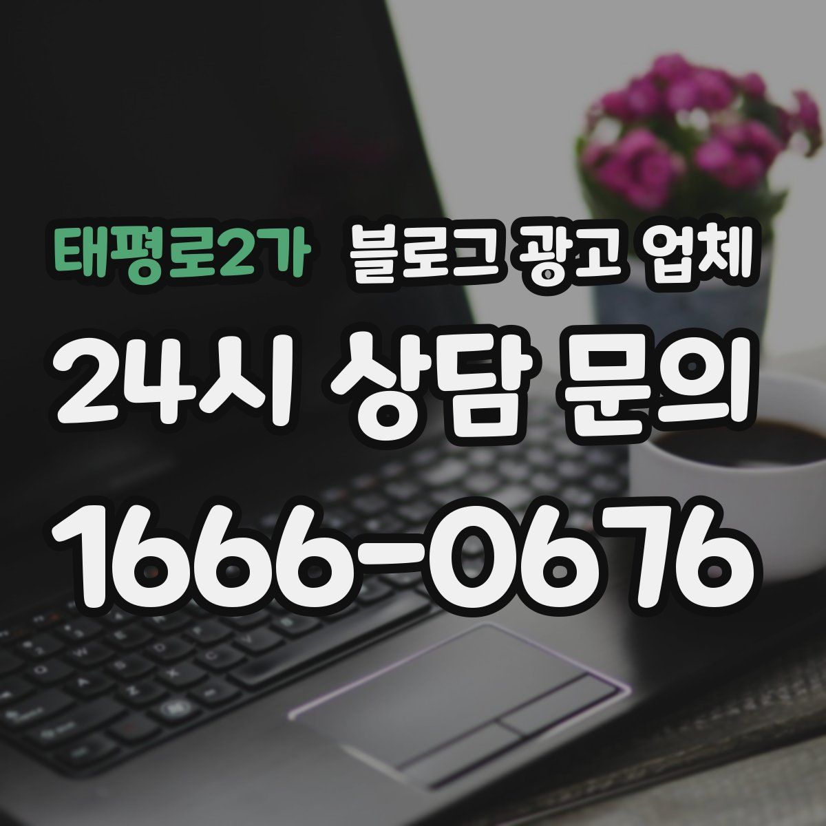 태평로2가 블로그 광고 업체
