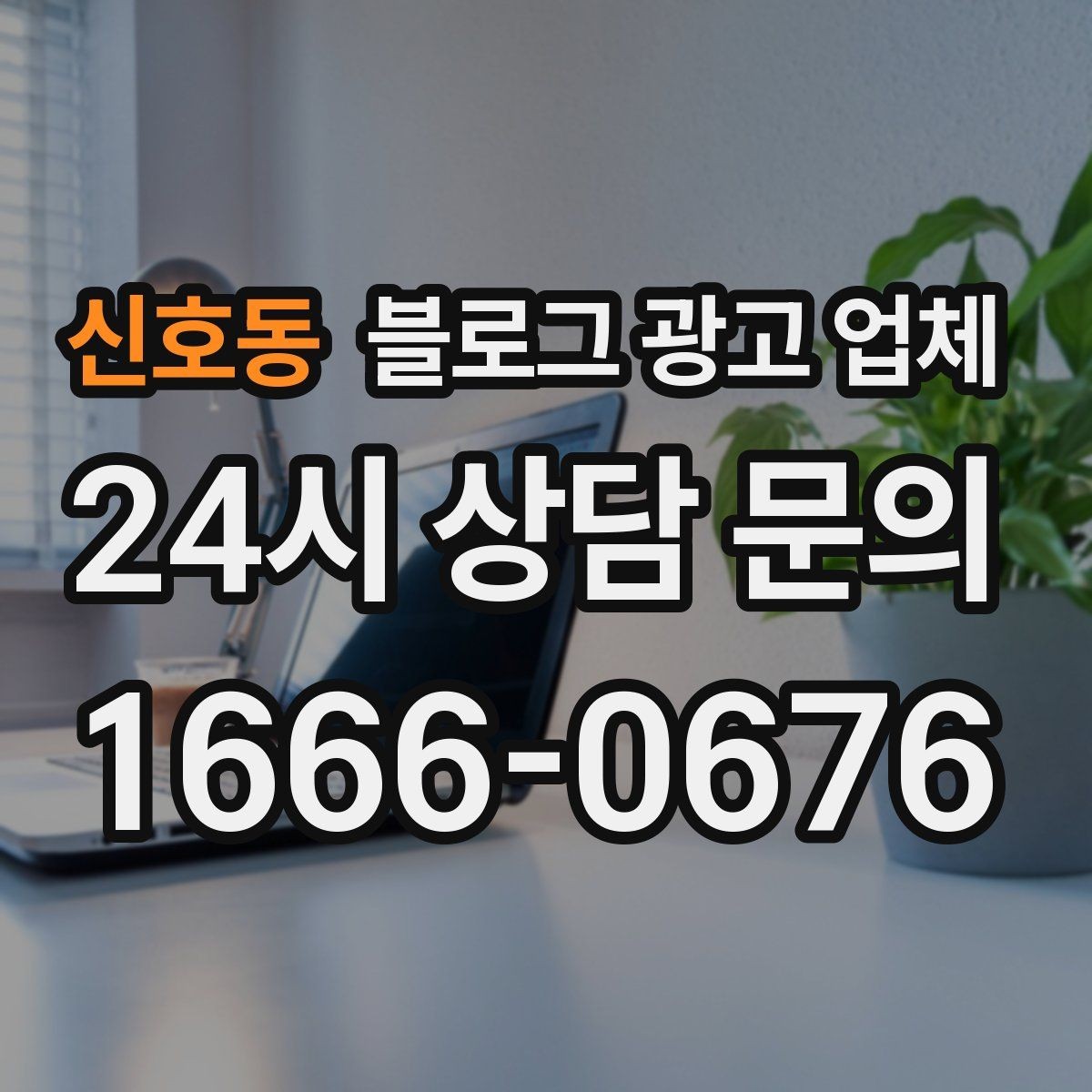 신호동 블로그 광고 업체 계약 조건에서 자주 보는 항목