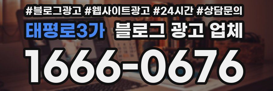 태평로3가 블로그 광고 업체