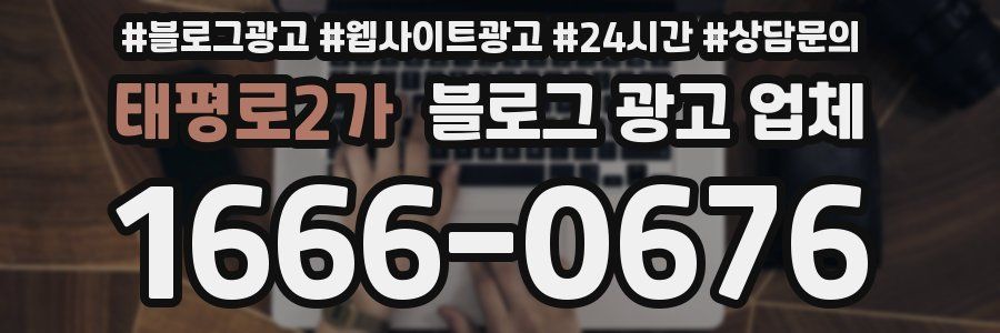 태평로2가 블로그 광고 업체