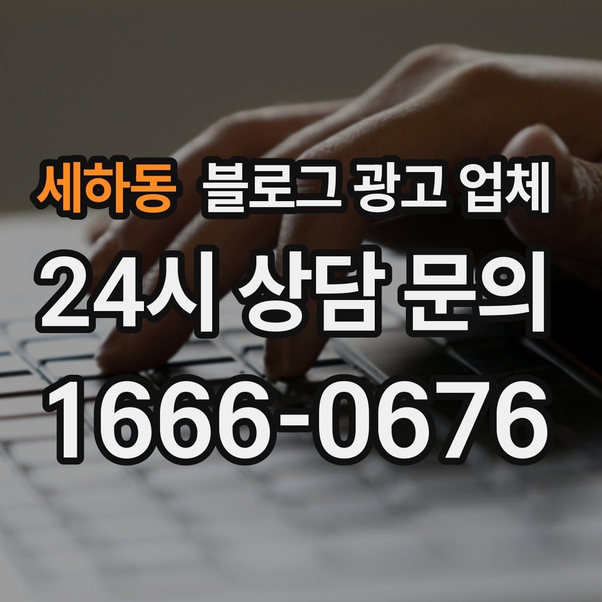 세하동 블로그 광고 업체 선택 전 꼭 확인할 기준