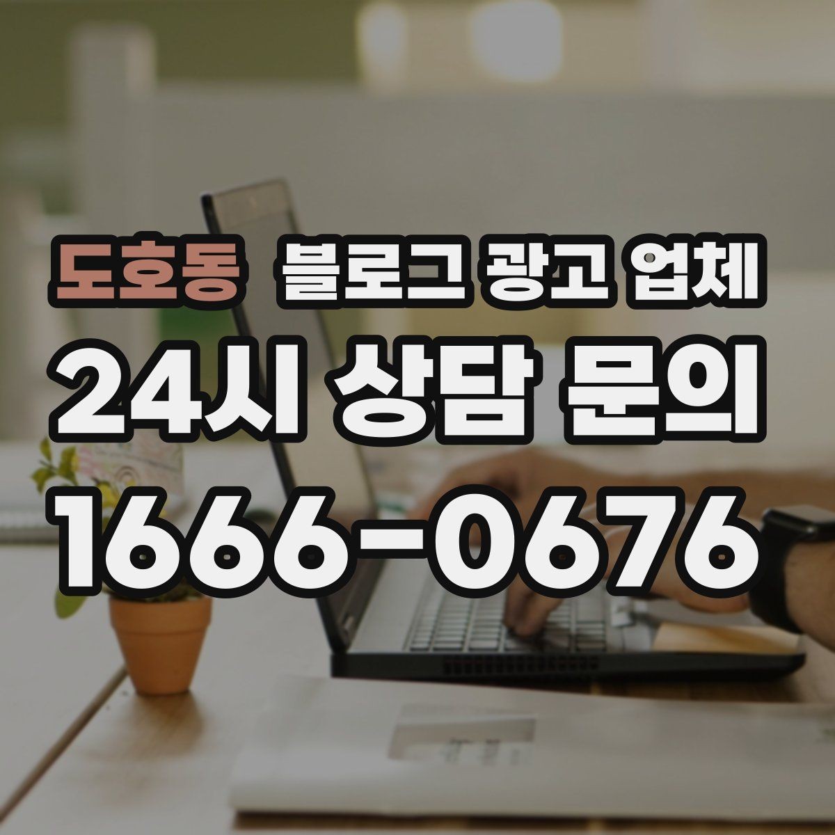 도호동 블로그 광고 업체 선택 기준을 실무자 관점에서 정리