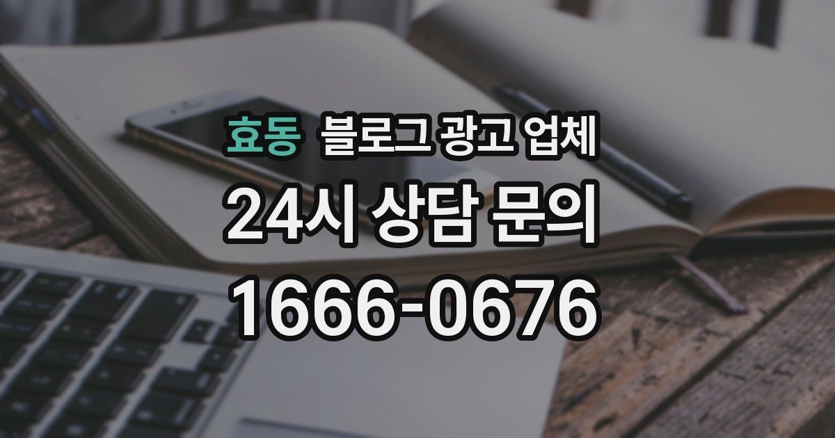 효동 블로그 광고 업체