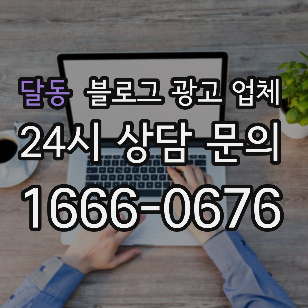 달동 블로그 광고 업체